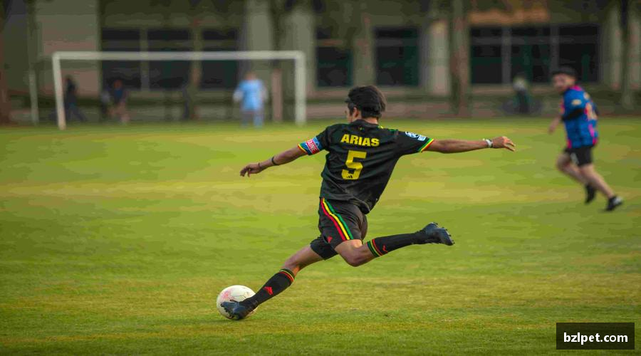 美嘉体育平台📺 实时解说，带你沉浸式感受赛场心跳！